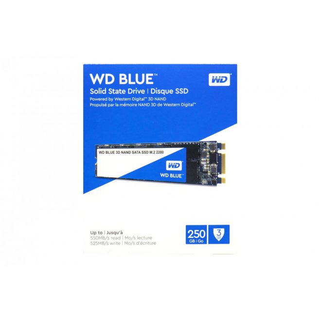 Western Digital Blue 250GB M.2 (2280) SATA SSD kártya (WDS250G2B0B) | 2 év garancia!