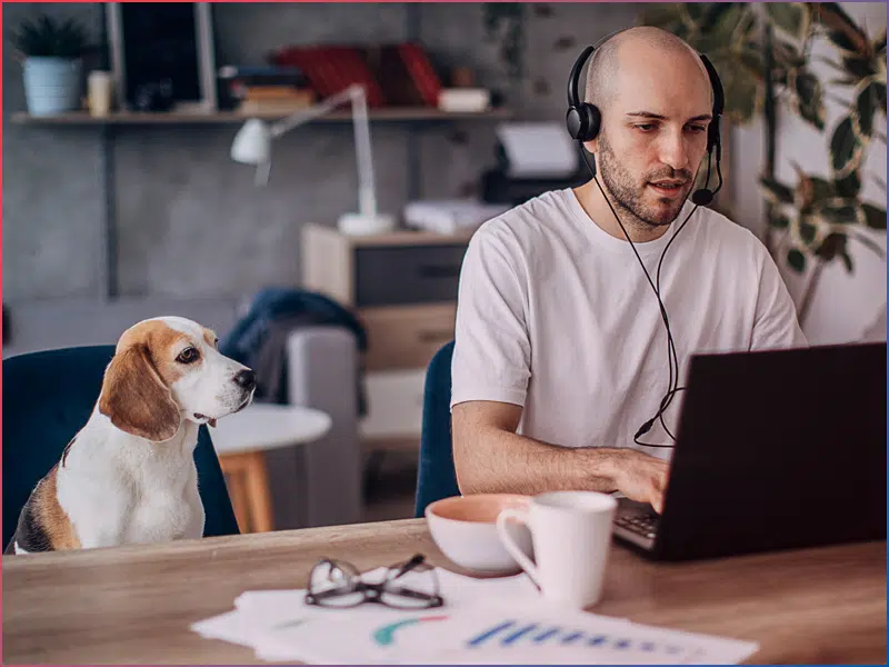 Laptop café - Laptop kiegészítő